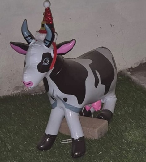 Vaca inflable con gorrito Navidad